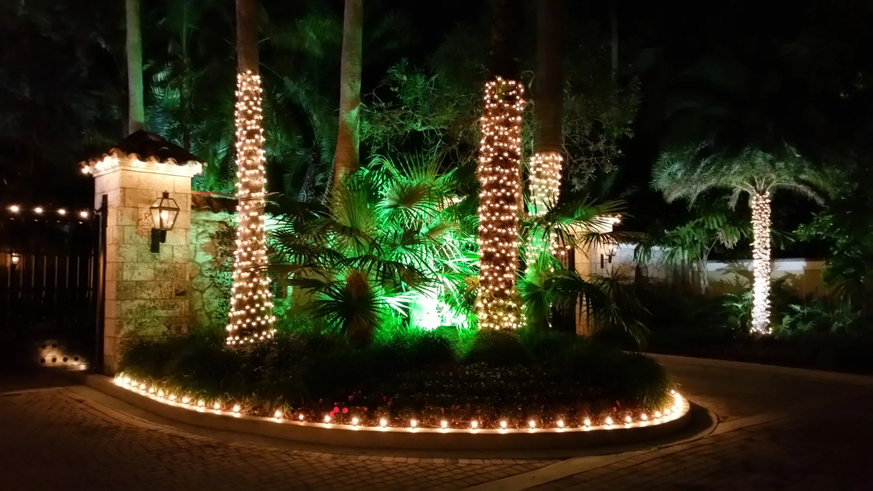 Palm trees and landscaped garden with festive lighting